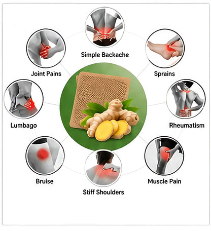 Shoplix Pain Relief Patches | Back, Neck & Joint Pain Relief (10 Pieces)